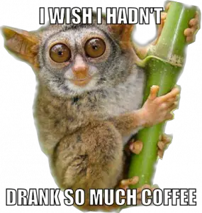 Meme Wish + Past simple I wish I hadn't drank so much coffee